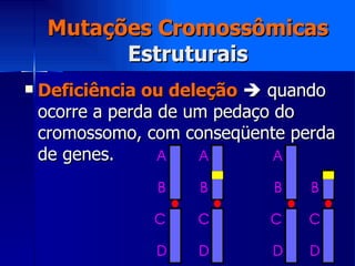 Mutações Cromossômicas Estruturais Deficiência ou deleção     quando ocorre a perda de um pedaço do cromossomo, com conseqüente perda de genes. 