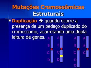 Mutações Cromossômicas Estruturais Duplicação     quando ocorre a presença de um pedaço duplicado do cromossomo, acarretando uma dupla leitura de genes. 