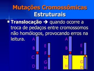 Mutações Cromossômicas Estruturais Translocação     quando ocorre a troca de pedaços entre cromossomos não homólogos, provocando erros na leitura. 