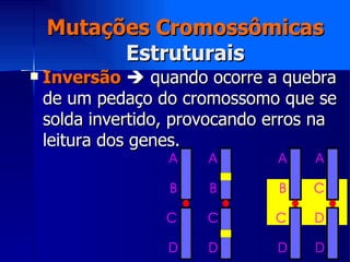 Mutações Cromossômicas Estruturais Inversão     quando ocorre a quebra de um pedaço do cromossomo que se solda invertido, provocando erros na leitura dos genes. 