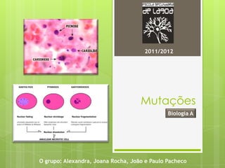 2011/2012




                                    Mutações
                                              Biologia A




O grupo: Alexandra, Joana Rocha, João e Paulo Pacheco
 