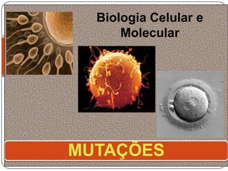 Biologia Celular e
      Molecular




MUTAÇÕES
 