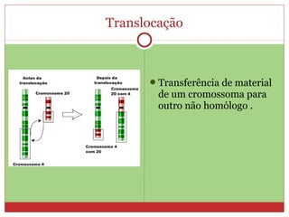 Translocação



      Transferência de material
        de um cromossoma para
        outro não homólogo .
 