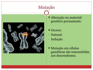Mutação

    Alteração no material
     genético permanente.

    Ocorre:
    - Natural
    - Indução


    Mutação em células
     gaméticas são transmitidas
     aos descendentes.
 