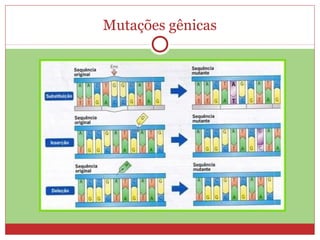 Mutações gênicas
 