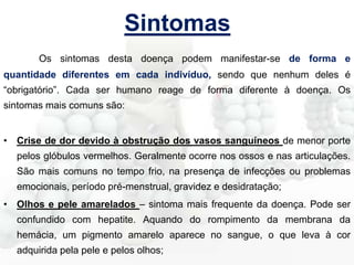 Sintomas
Os sintomas desta doença podem manifestar-se de forma e

quantidade diferentes em cada indivíduo, sendo que nenhum deles é
“obrigatório”. Cada ser humano reage de forma diferente à doença. Os
sintomas mais comuns são:
• Crise de dor devido à obstrução dos vasos sanguíneos de menor porte
pelos glóbulos vermelhos. Geralmente ocorre nos ossos e nas articulações.
São mais comuns no tempo frio, na presença de infecções ou problemas
emocionais, período pré-menstrual, gravidez e desidratação;
• Olhos e pele amarelados – sintoma mais frequente da doença. Pode ser
confundido com hepatite. Aquando do rompimento da membrana da
hemácia, um pigmento amarelo aparece no sangue, o que leva à cor

adquirida pela pele e pelos olhos;

 