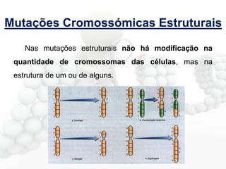 Mutações Cromossómicas Estruturais
Nas mutações estruturais não há modificação na

quantidade de cromossomas das células, mas na
estrutura de um ou de alguns.

 