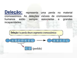 Deleção:

representa uma perda no material
cromossómico. As deleções visíveis de cromossomas
humanos estão sempre associadas a grandes
incapacidades.

 