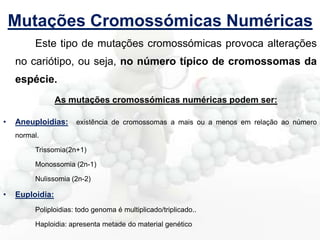 Mutações Cromossómicas Numéricas
Este tipo de mutações cromossómicas provoca alterações

no cariótipo, ou seja, no número típico de cromossomas da
espécie.
As mutações cromossómicas numéricas podem ser:
•

Aneuploidias:

existência de cromossomas a mais ou a menos em relação ao número

normal.
Trissomia(2n+1)
Monossomia (2n-1)
Nulissomia (2n-2)

•

Euploidia:
Poliploidias: todo genoma é multiplicado/triplicado..
Haploidia: apresenta metade do material genético

 