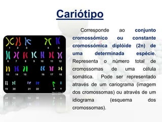 Cariótipo
Corresponde

ao

cromossómico

conjunto

ou

constante

cromossómica diplóide (2n) de
uma

determinada

Representa

o

cromossomas
somática.

espécie.

número

de

uma

total

de

célula

Pode ser representado

através de um cariograma (imagem
dos cromossomas) ou através de um
idiograma
cromossomas).

(esquema

dos

 