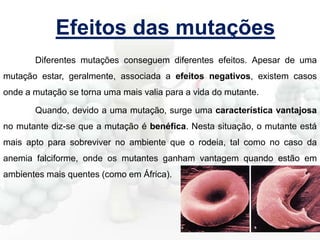 Efeitos das mutações
Diferentes mutações conseguem diferentes efeitos. Apesar de uma
mutação estar, geralmente, associada a efeitos negativos, existem casos
onde a mutação se torna uma mais valia para a vida do mutante.
Quando, devido a uma mutação, surge uma característica vantajosa
no mutante diz-se que a mutação é benéfica. Nesta situação, o mutante está
mais apto para sobreviver no ambiente que o rodeia, tal como no caso da
anemia falciforme, onde os mutantes ganham vantagem quando estão em
ambientes mais quentes (como em África).

 