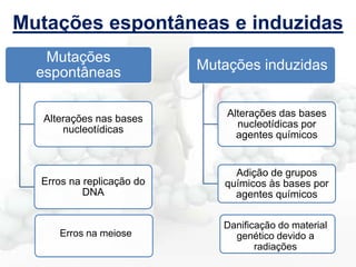 Mutações espontâneas e induzidas
Mutações
espontâneas

Mutações induzidas

Alterações nas bases
nucleotídicas

Alterações das bases
nucleotídicas por
agentes químicos

Erros na replicação do
DNA

Adição de grupos
químicos às bases por
agentes químicos

Erros na meiose

Danificação do material
genético devido a
radiações

 