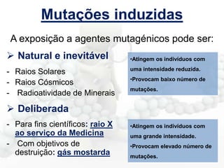 Mutações induzidas
A exposição a agentes mutagénicos pode ser:
 Natural e inevitável
- Raios Solares
- Raios Cósmicos
- Radioatividade de Minerais

•Atingem os indivíduos com
uma intensidade reduzida.
•Provocam baixo número de
mutações.

 Deliberada
- Para fins científicos: raio X
ao serviço da Medicina
- Com objetivos de
destruição: gás mostarda

•Atingem os indivíduos com

uma grande intensidade.
•Provocam elevado número de
mutações.

 
