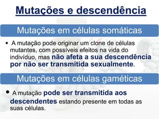 Mutações e descendência
Mutações em células somáticas
• A mutação pode originar um clone de células
mutantes, com possíveis efeitos na vida do
indivíduo, mas não afeta a sua descendência

por não ser transmitida sexualmente.

Mutações em células gaméticas

• A mutação pode ser transmitida aos
descendentes estando presente em todas as
suas células.

 