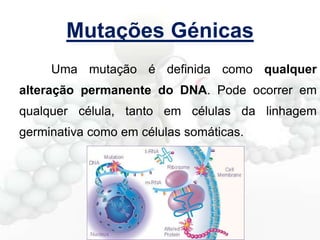 Mutações Génicas
Uma mutação é definida como qualquer

alteração permanente do DNA. Pode ocorrer em
qualquer célula, tanto em células da linhagem
germinativa como em células somáticas.

 