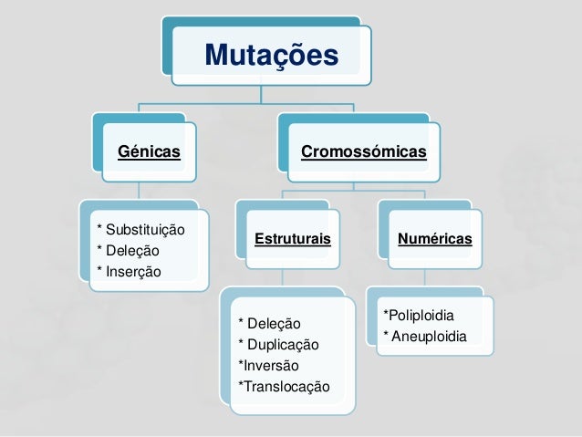 Mutações - Biologia 12º