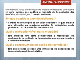 Um exemplo típico de mutação diz respeito à alteração que ocorre
no gene humano que codifica a molécula de hemoglobina das
hemácias, dando origem à anemia falciforme
Em que consiste a anemia falciforme ?
 Consiste na substituição de um único nucleótido o qual provoca
uma alteração na sequência proteica (o aminoácido ácido
glutâmico - Glu - é substituído por valina - Val).
Qual a alteração visível desta mutação?
 Esta alteração tem como consequência a modificação da
configuração da molécula de hemoglobina, que por sua vez altera
a forma das hemácias.
Qual a consequência na acção das hemácias?
 Esta característica provoca uma diminuição da capacidade de
transporte de oxigénio no indivíduo.
ANEMIA FALCIFORME
 