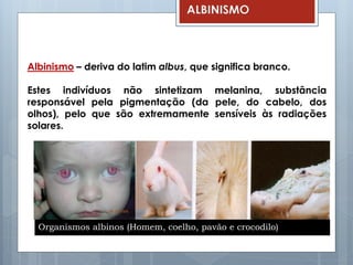 Albinismo – deriva do latim albus, que significa branco.
Estes indivíduos não sintetizam melanina, substância
responsável pela pigmentação (da pele, do cabelo, dos
olhos), pelo que são extremamente sensíveis às radiações
solares.
Organismos albinos (Homem, coelho, pavão e crocodilo)
ALBINISMO
 