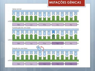 MUTAÇÕES GÉNICAS
 