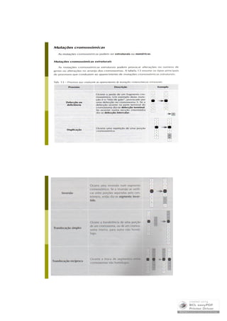 Mutações Cromossómicas