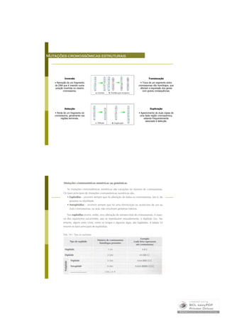 Mutações Cromossómicas