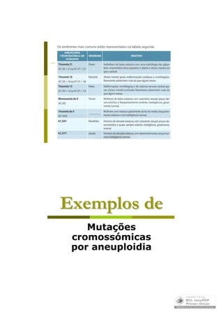 Mutações Cromossómicas