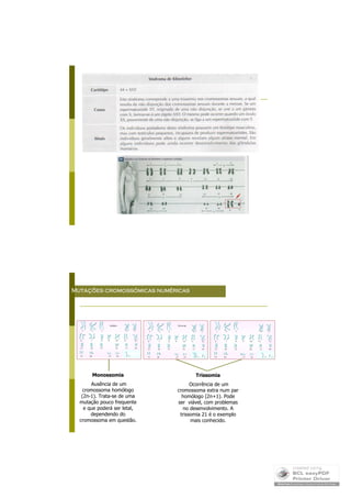Mutações Cromossómicas
