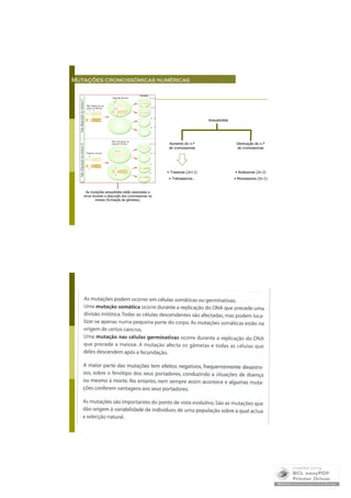 Mutações Cromossómicas