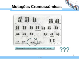 Mutações Cromossómicas




 Trissomia (3 cromossomas em vez de dois), no par 21
                                                       ???
                                                             10
                                IL 2011
 