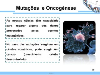 Mutações e Oncogénese

As nossas células têm capacidade
para     reparar   alguns    dos    danos
provocados          pelos          agentes
mutagénicos.


No caso das mutações surgirem em
células somáticas, pode surgir um
cancro        (crescimento          celular
descontrolado).


                                              17
                                   IL 2011
 