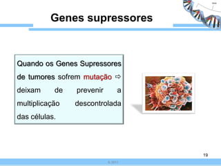Genes supressores



Quando os Genes Supressores
de tumores sofrem mutação 
deixam     de   prevenir         a
multiplicação   descontrolada
das células.




                                     19
                           IL 2011
 