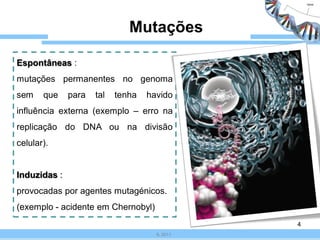 Mutações

Espontâneas :
mutações permanentes no genoma
sem    que    para   tal   tenha   havido
influência externa (exemplo – erro na
replicação do DNA ou na divisão
celular).


Induzidas :
provocadas por agentes mutagénicos.
(exemplo - acidente em Chernobyl)
                                               4
                                     IL 2011
 