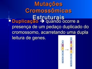 MutaçõesMutações
CromossômicasCromossômicas
EstruturaisEstruturais DuplicaçãoDuplicação  quando ocorre aquando ocorre a
presença de um pedaço duplicado dopresença de um pedaço duplicado do
cromossomo, acarretando uma duplacromossomo, acarretando uma dupla
leitura de genes.leitura de genes.
 