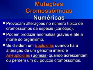 MutaçõesMutações
CromossômicasCromossômicas
NuméricasNuméricas
 Provocam alterações no número típico deProvocam alterações no número típico de
cromossomos da espécie (cariótipo).cromossomos da espécie (cariótipo).
 Podem produzir anomalias graves e até aPodem produzir anomalias graves e até a
morte do organismo.morte do organismo.
 Se dividem emSe dividem em EuploidiasEuploidias quando há aquando há a
alteração de um genoma inteiro ealteração de um genoma inteiro e
AneuploidiasAneuploidias ((SomiasSomias) quando acrescentam) quando acrescentam
ou perdem um ou poucos cromossomos.ou perdem um ou poucos cromossomos.
 