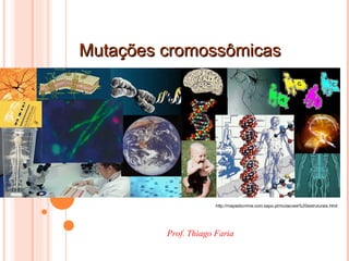 Mutações cromossômicas http://mapadocrime.com.sapo.pt/mutacoes%20estruturais.html Prof. Thiago Faria 