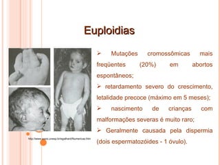Euploidias http://www.assis.unesp.br/egalhard/Numericas.htm Mutações cromossômicas mais freqüentes (20%) em abortos espontâneos;  retardamento severo do crescimento, letalidade precoce (máximo em 5 meses); nascimento de crianças com malformações severas é muito raro; Geralmente causada pela dispermia (dois espermatozóides - 1 óvulo). 