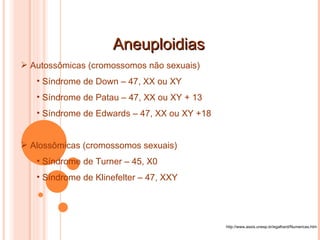 Aneuploidias http://www.assis.unesp.br/egalhard/Numericas.htm Autossômicas (cromossomos não sexuais) Síndrome de Down – 47, XX ou XY Síndrome de Patau – 47, XX ou XY + 13 Síndrome de Edwards – 47, XX ou XY +18 Alossômicas (cromossomos sexuais) Síndrome de Turner – 45, X0 Síndrome de Klinefelter – 47, XXY 