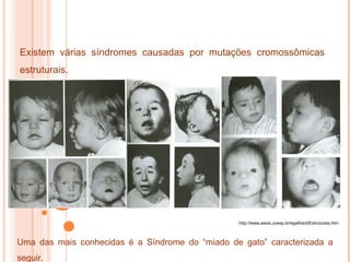Existem várias síndromes causadas por mutações cromossômicas estruturais.  Uma das mais conhecidas é a Síndrome do “miado de gato” caracterizada a seguir. http://www.assis.unesp.br/egalhard/Estruturais.htm 