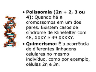 • Polissomia (2n + 2, 3 ou
  4): Quando há n
  cromossomos em um dos
  pares. Existem casos de
  síndrome de Klinefelter com
  48, XXXY e 49 XXXXY.
• Quimerismo: É a ocorrência
  de diferentes linhagens
  celulares no mesmo
  indivíduo, como por exemplo,
  células 2n e 3n.
 