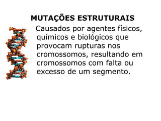 MUTAÇÕES ESTRUTURAIS
 Causados por agentes físicos,
 químicos e biológicos que
 provocam rupturas nos
 cromossomos, resultando em
 cromossomos com falta ou
 excesso de um segmento.
 