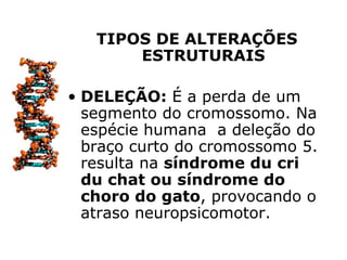 TIPOS DE ALTERAÇÕES
       ESTRUTURAIS

• DELEÇÃO: É a perda de um
  segmento do cromossomo. Na
  espécie humana a deleção do
  braço curto do cromossomo 5.
  resulta na síndrome du cri
  du chat ou síndrome do
  choro do gato, provocando o
  atraso neuropsicomotor.
 