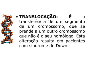 • TRANSLOCAÇÃO:         É      a
  transferência de um segmento
  de um cromossomo, que se
  prende a um outro cromossomo
  que não é o seu homólogo. Esta
  alteração resulta em pacientes
  com síndrome de Down.
 