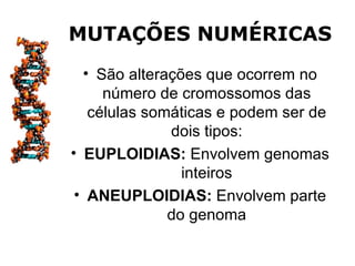 MUTAÇÕES NUMÉRICAS
  • São alterações que ocorrem no
     número de cromossomos das
   células somáticas e podem ser de
              dois tipos:
• EUPLOIDIAS: Envolvem genomas
                inteiros
 • ANEUPLOIDIAS: Envolvem parte
              do genoma
 
