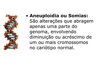 • Aneuploidia ou Somias:
  São alterações que abragem
  apenas uma parte do
  genoma, envolvendo
  diminuição ou acréscimo de
  um ou mais cromossomos
  no cariótipo normal.
 