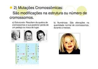 2) Mutações Cromossômicas:
  São modificações na estrutura ou número de
cromossomos.
 a) Estruturais- Resultam da quebra de   b) Numéricas- São alterações na
 cromossomos e sua posterior perda de    quantidade normal de cromossomos,
 um pedaço ou troca de lugar.            durante a meiose;
 