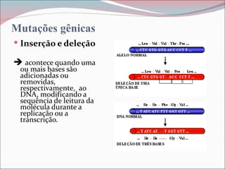 Mutações gênicas
 Inserção e deleção

 acontece quando uma
 ou mais bases são
 adicionadas ou
 removidas,
 respectivamente, ao
 DNA, modificando a
 sequência de leitura da
 molécula durante a
 replicação ou a
 transcrição.
 