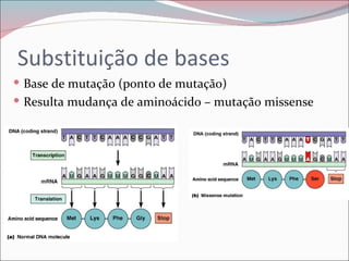 Substituição de bases
 Base de mutação (ponto de mutação)
 Resulta mudança de aminoácido – mutação missense
 