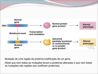 Mutação de uma região da proteína-codificação de um gene.
(Note que nem todas as mutações levam a proteínas alteradas e que nem todas
as mutações são regiões que codificam proteínas)
 