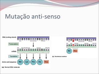 Mutação anti-senso
 