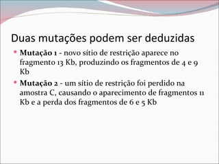 Duas mutações podem ser deduzidas
 Mutação 1 - novo sítio de restrição aparece no
  fragmento 13 Kb, produzindo os fragmentos de 4 e 9
  Kb
 Mutação 2 - um sítio de restrição foi perdido na
  amostra C, causando o aparecimento de fragmentos 11
  Kb e a perda dos fragmentos de 6 e 5 Kb
 